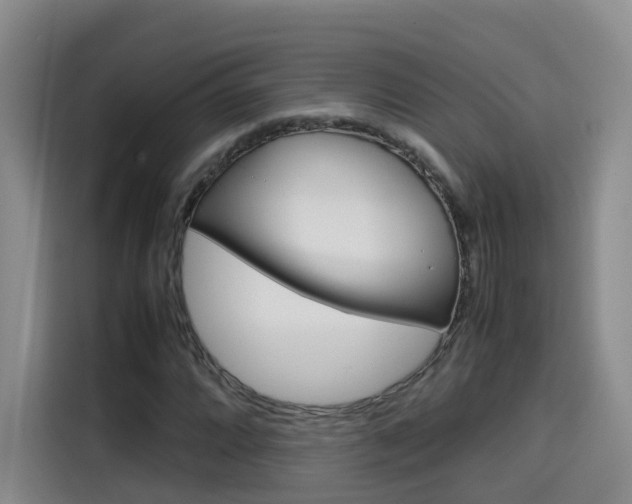 X0000115581064200911171005