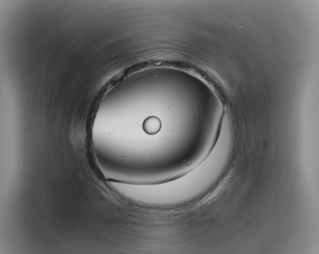 X0000115581065200911171005