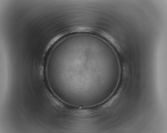 X0000115581066200911171005