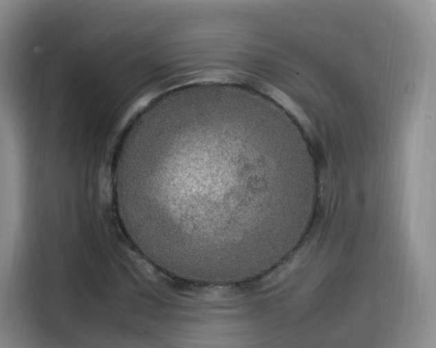 X0000115581067200911171005