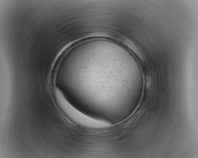 X0000115581068200911171005