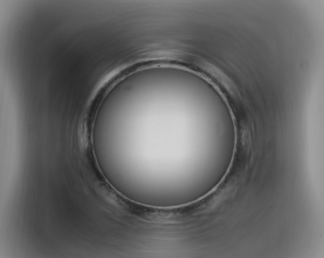 X0000115581069200911171005