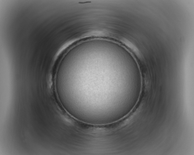 X0000115581070200911171005