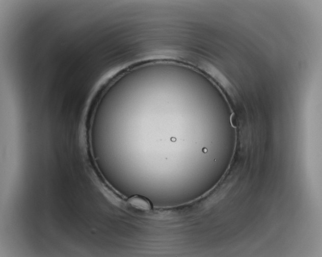 X0000115581072200911171005