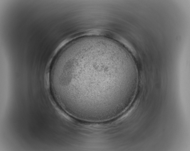 X0000115581075200911171005