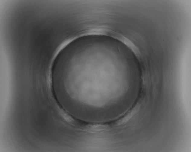 X0000115581077200911171005