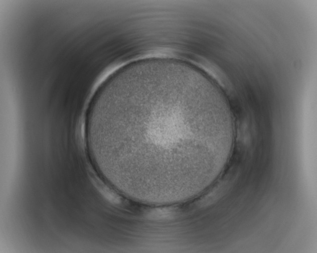 X0000115581078200911171005