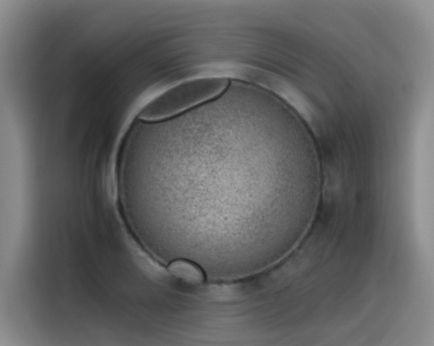 X0000115581080200911171005