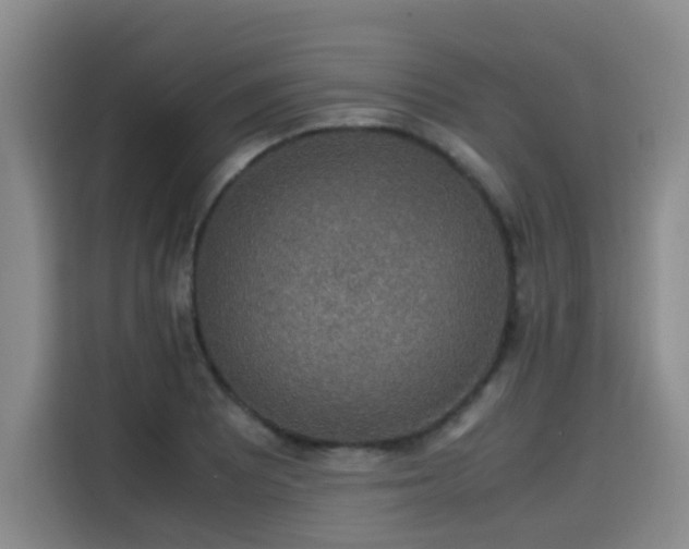 X0000115581081200911171005