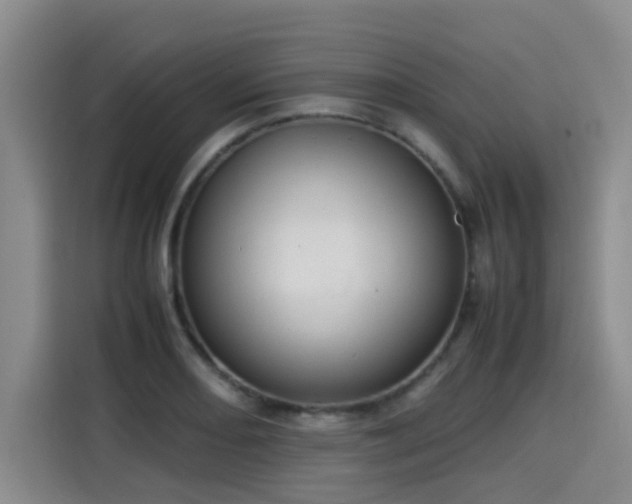 X0000115581082200911171005