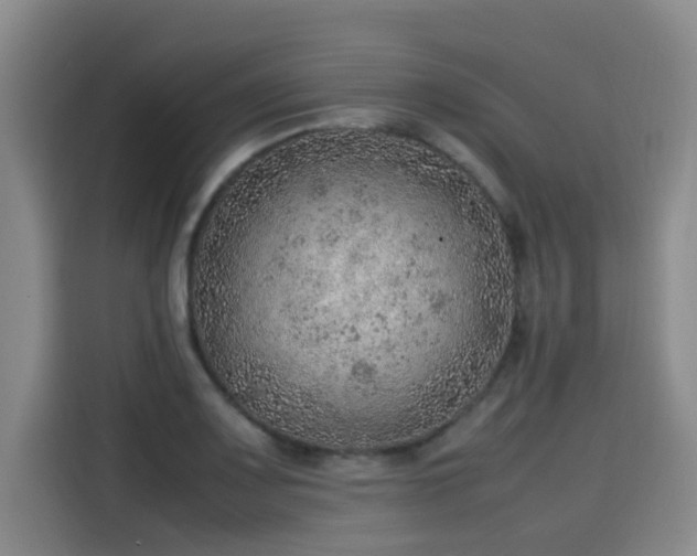 X0000115581083200911171005