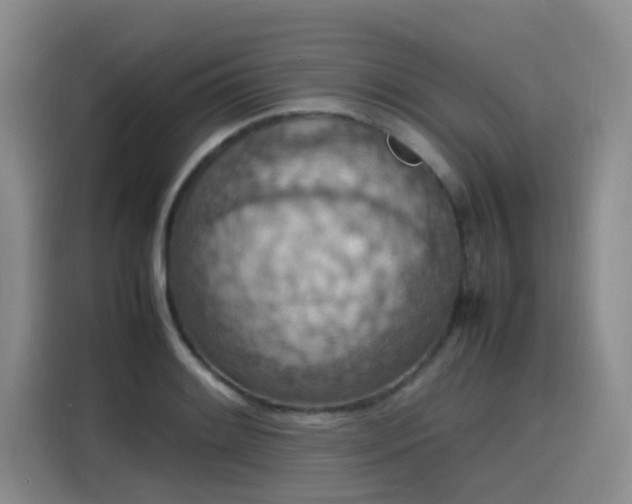 X0000115581084200911171005