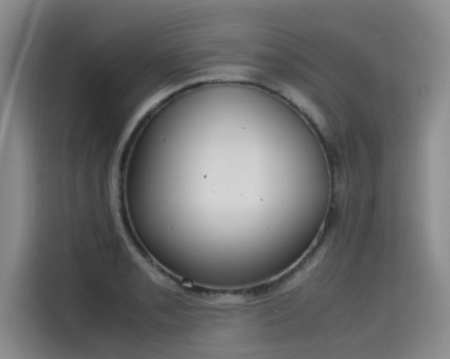 X0000115581085200911171005