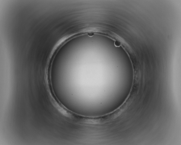 X0000115581086200911171005