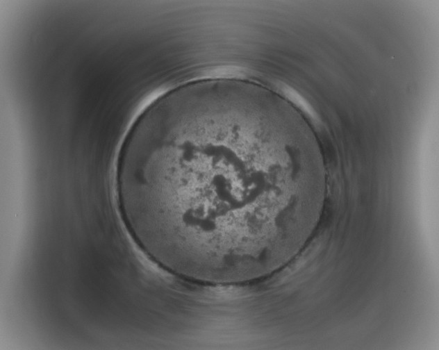 X0000115581087200911171005