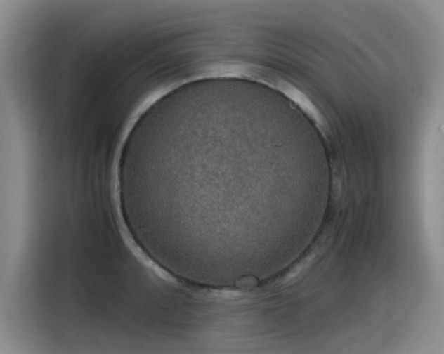 X0000115581088200911171005