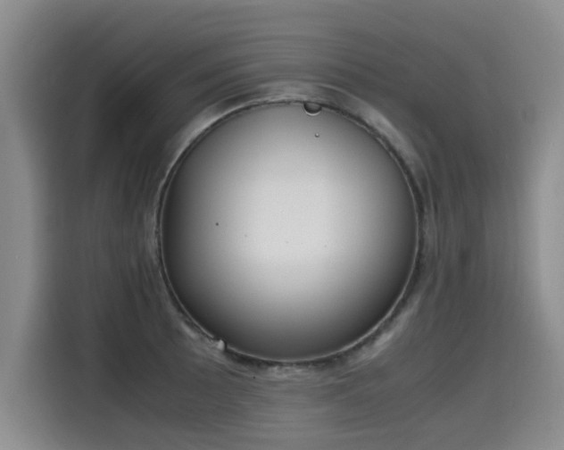 X0000115581089200911171005