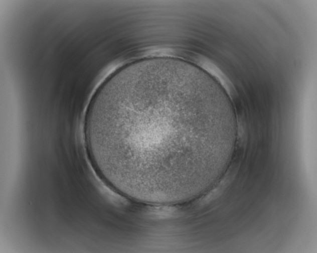 X0000115581090200911171005