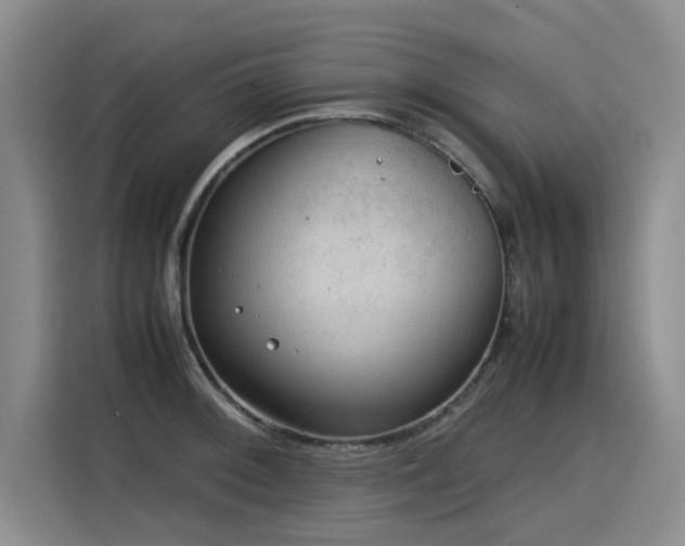 X0000115581092200911171004