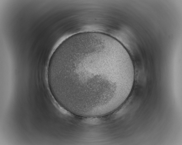 X0000115581094200911171004