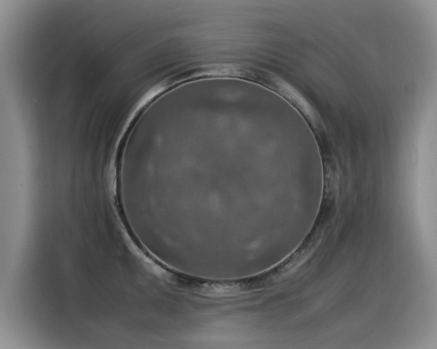 X0000115581095200911171004