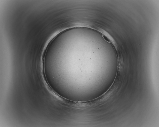 X0000115581096200911171004