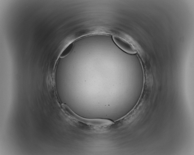 X0000115581097200911171004