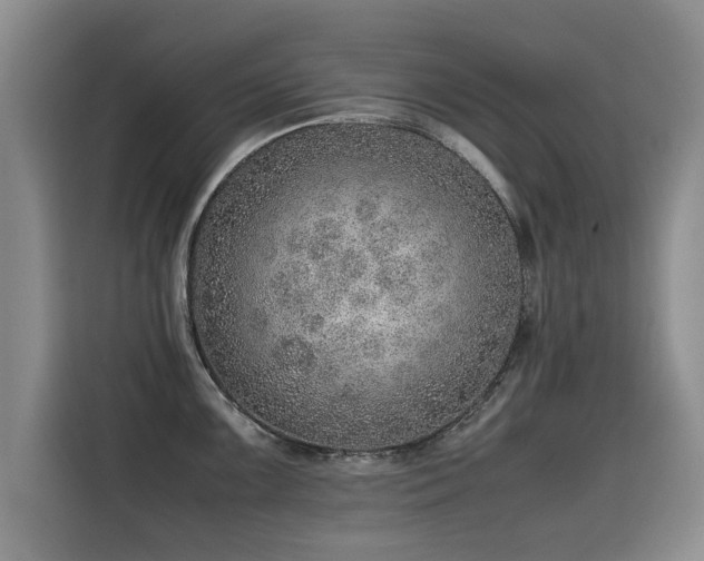 X0000115581099200911171004