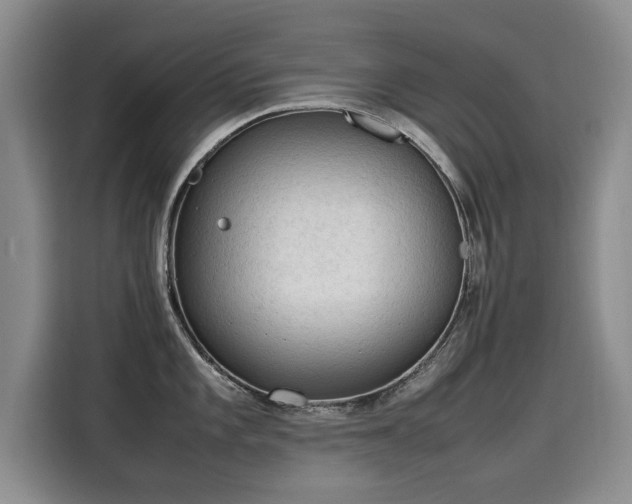 X0000115581101200911171004