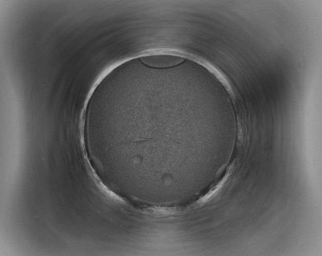 X0000115581102200911171004