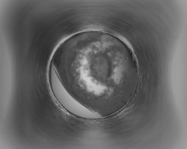 X0000115581104200911171004