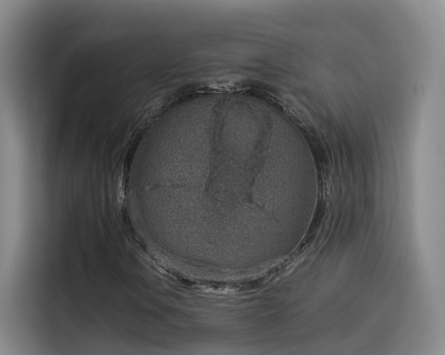 X0000115581106200911171004