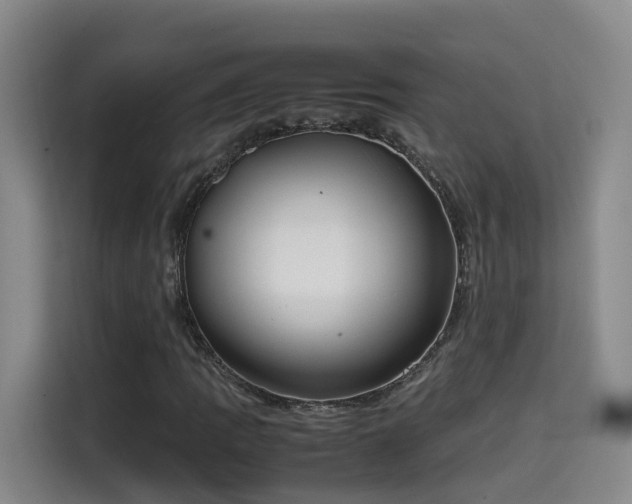 X0000115581109200911171004