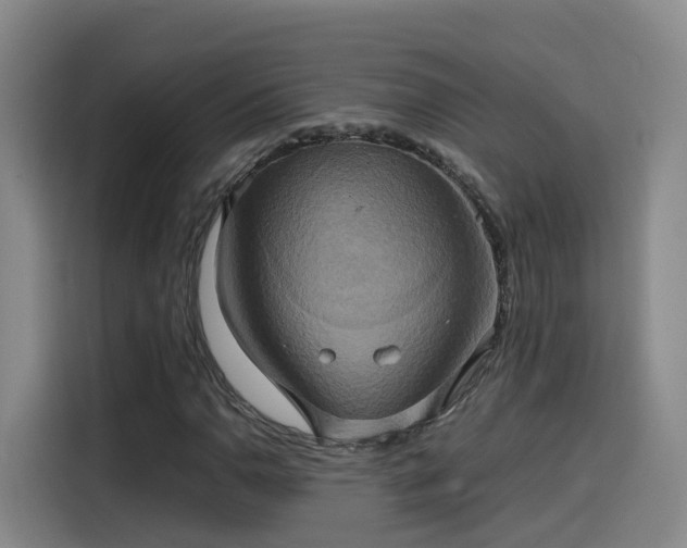 X0000115581110200911171004