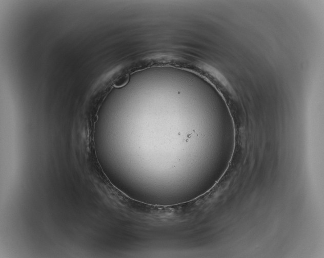 X0000115581111200911171004