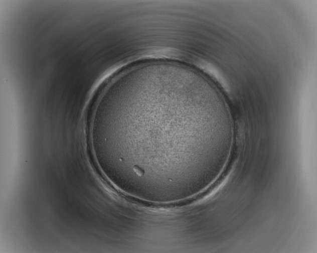 X0000115581114200911171004