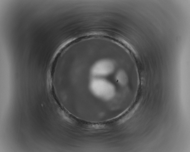 X0000115581117200911171004