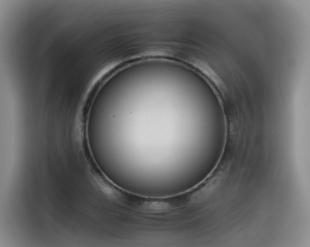 X0000115581119200911171004