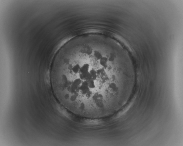 X0000115581121200911171004