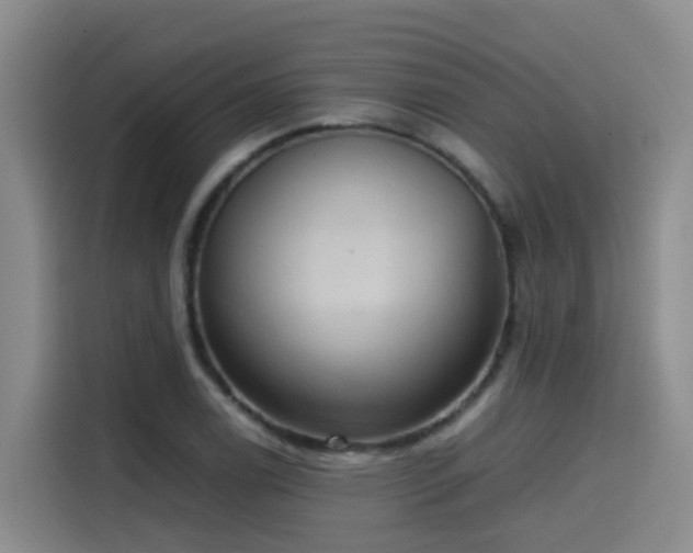 X0000115581122200911171004