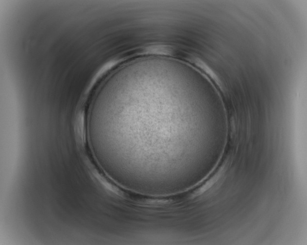 X0000115581123200911171004