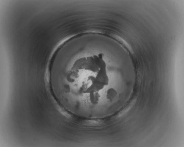 X0000115581125200911171004