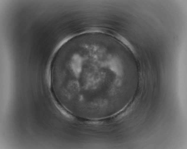 X0000115581127200911171004