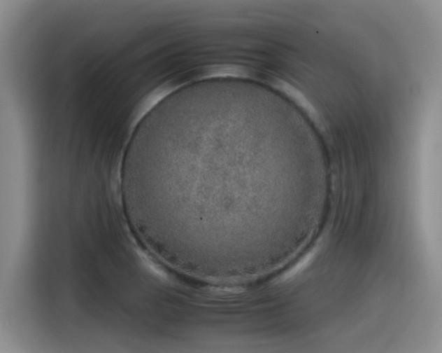 X0000115581129200911171004