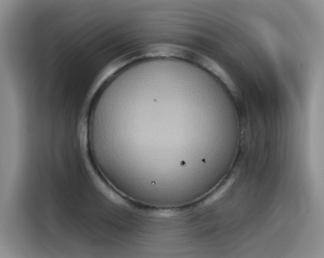 X0000115581130200911171004