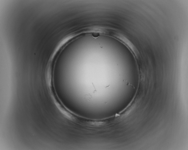 X0000115581131200911171004