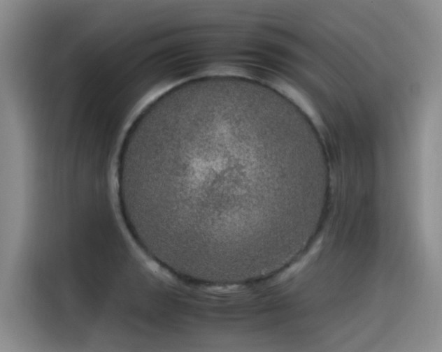 X0000115581133200911171004