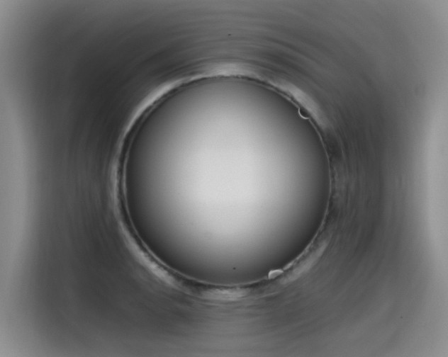 X0000115581134200911171004