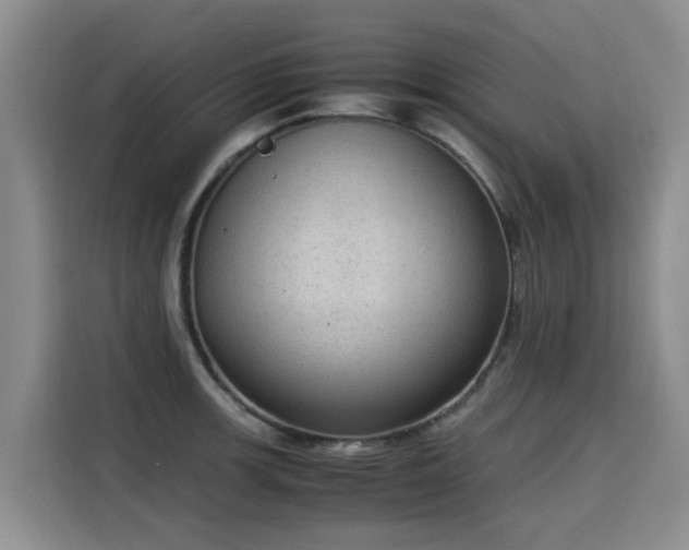 X0000115581139200911171004