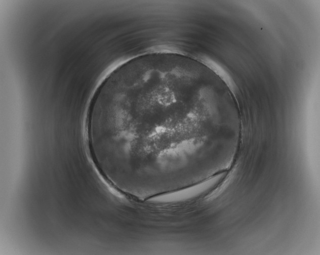 X0000115581141200911171004